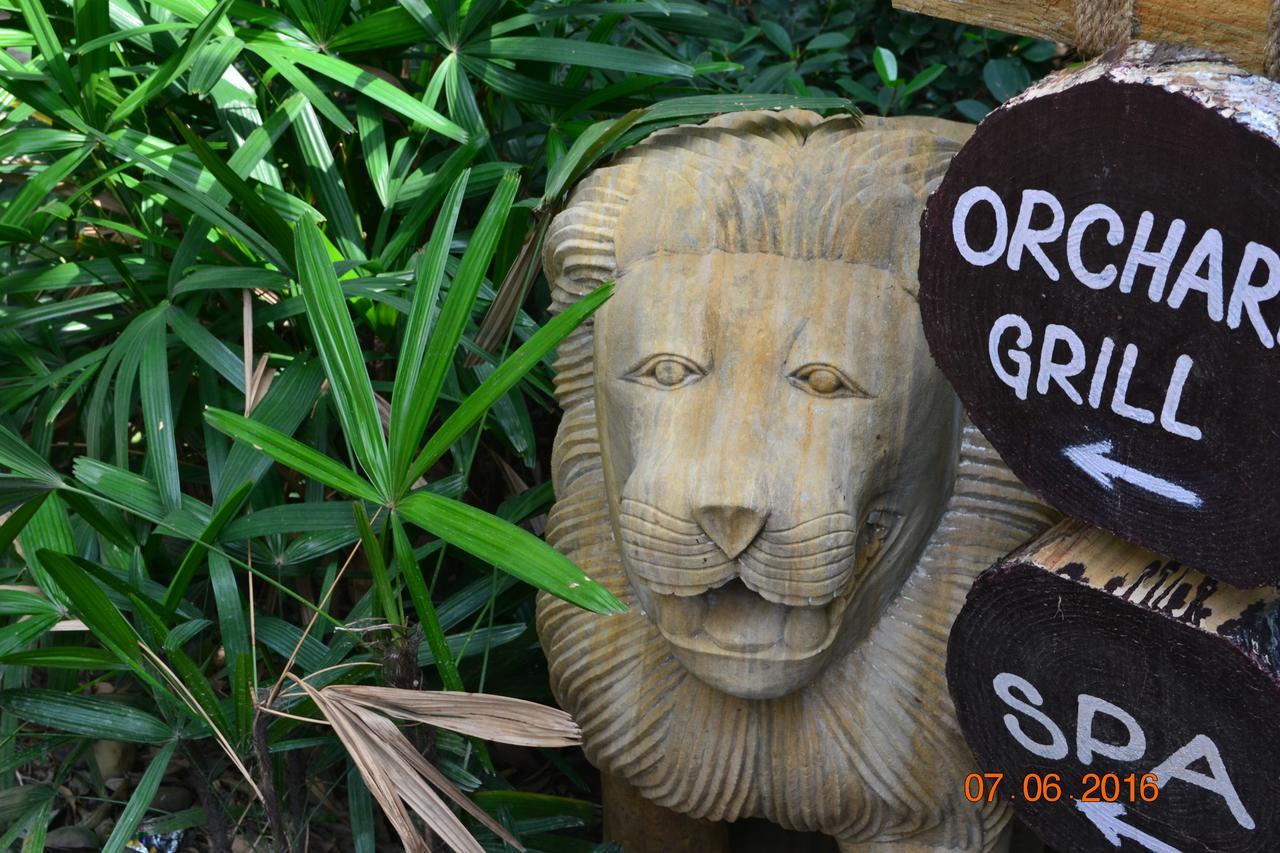 Corbett Wild Iris Spa And Resort Ramnagar  Exteriér fotografie